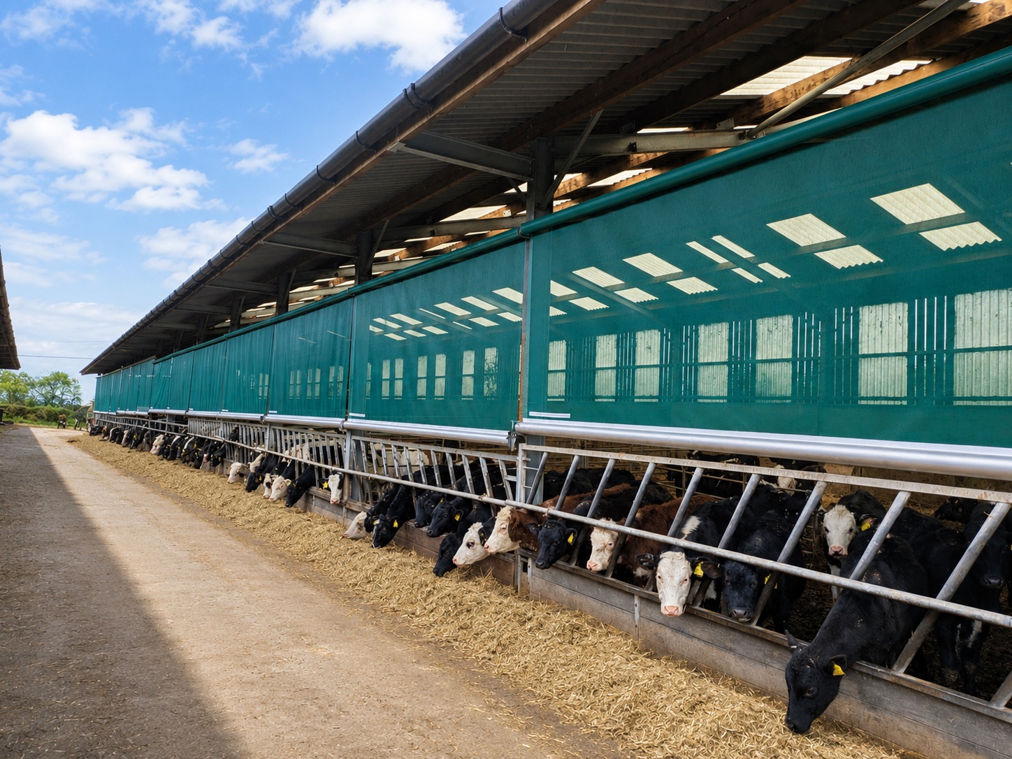 Amy Johnson's cattle shed with green roller blinds fitted along the open side
