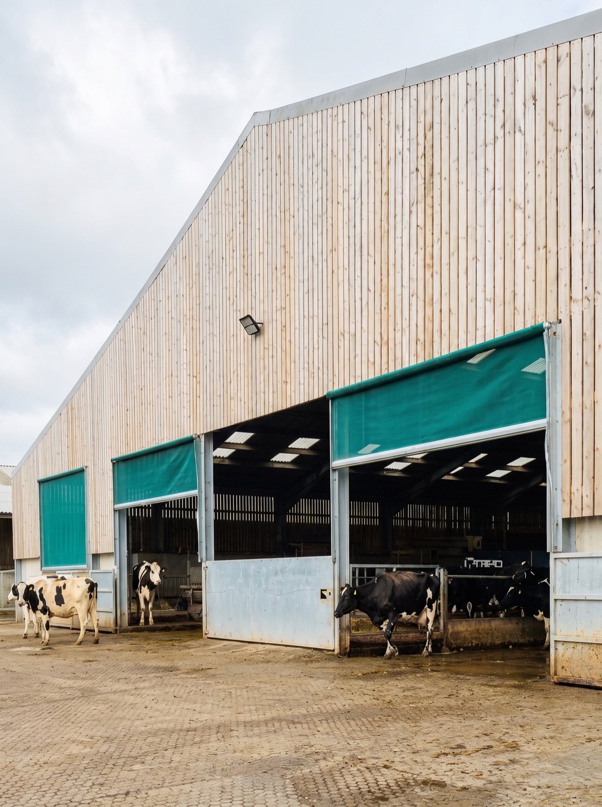 Spring roller blinds on a timber clad cattle shed